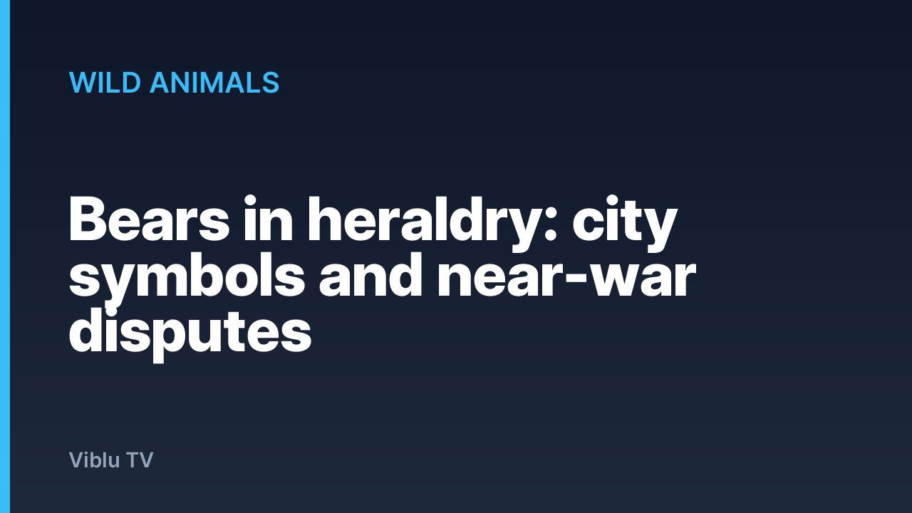 Wild Animals - Bears in heraldry: city symbols and near-war disputes