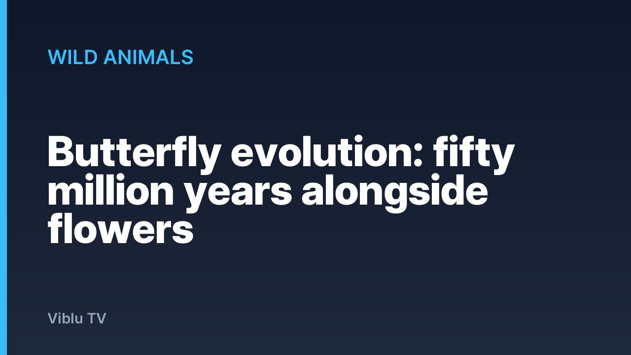 Wild Animals - Butterfly evolution: fifty million years alongside flowers
