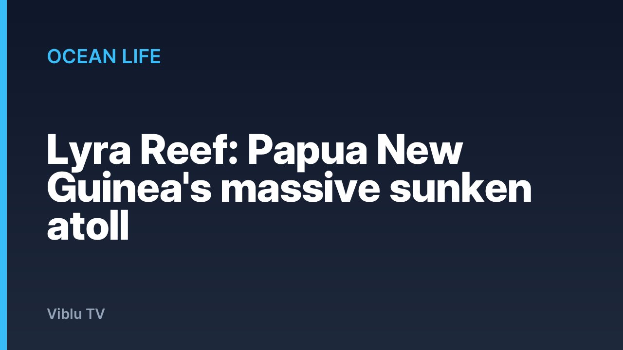 Ocean Life - Lyra Reef: Papua New Guinea's massive sunken atoll