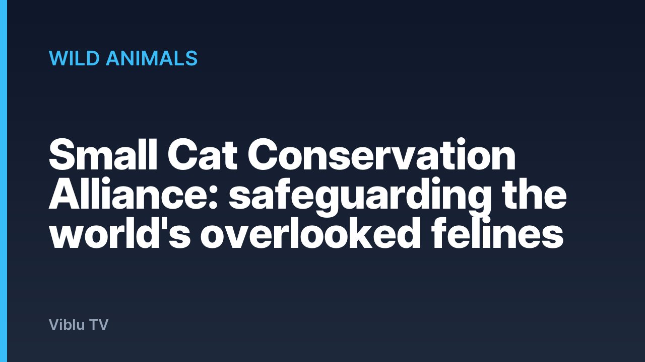 Wild Animals - Small Cat Conservation Alliance: safeguarding the world's overlooked felines