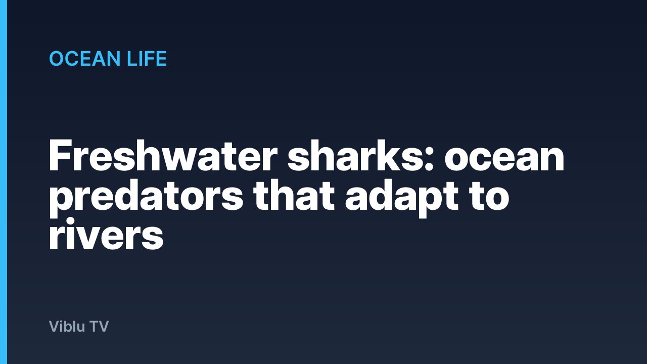 Ocean Life - Freshwater sharks: ocean predators that adapt to rivers