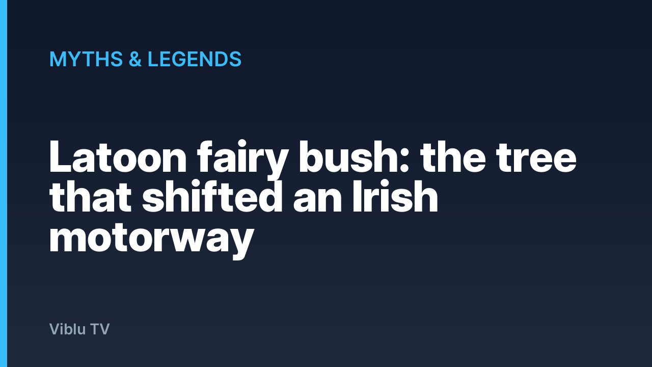 Myths & Legends - Latoon fairy bush: the tree that shifted an Irish motorway