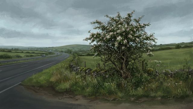 Myths & Legends - Latoon fairy bush: the tree that shifted an Irish motorway