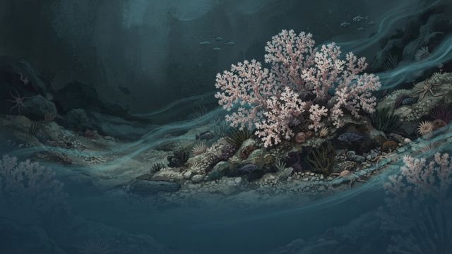 Ocean Life - Canada's hidden Lophelia reef: deep water coral ecosystem