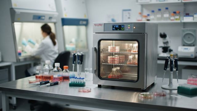 Health & Body - Scientists Produce Continuous Supply of Cancer-Fighting Cells
