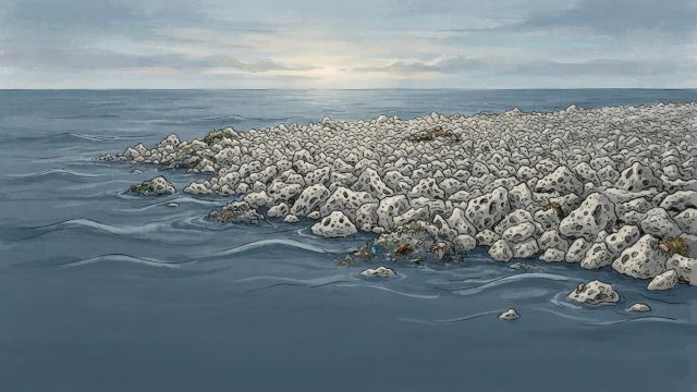 Planet Earth - Pumice rafts: Floating volcanic rocks that carry life