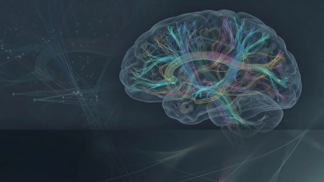 Inventions - High-definition fiber tracking: mapping the brain's internal wiring