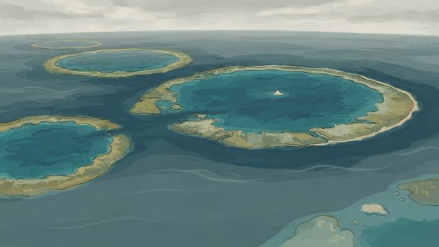 Ocean Life - Indispensable Reefs: a submerged atoll chain in the Coral Sea