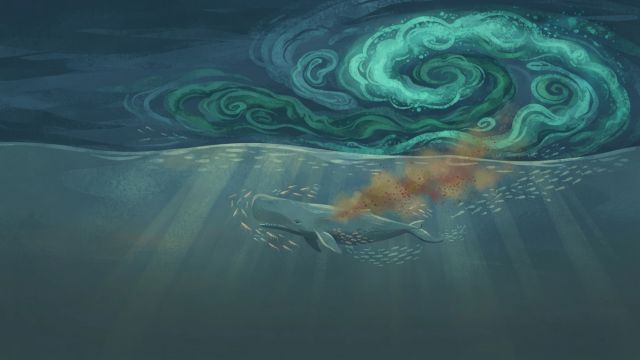 Ocean Life - How whale feces act as marine ecosystem engineers