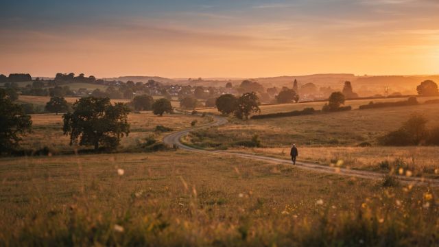 Science & Nature - The golden hour: why twilight casts a softer glow