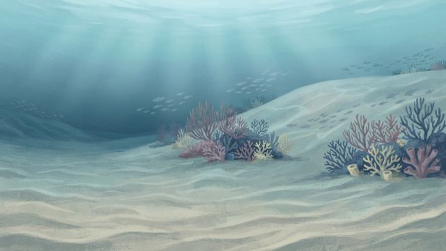 Ocean Life - Lansdowne Bank: the vast submerged plateau of the Coral Sea