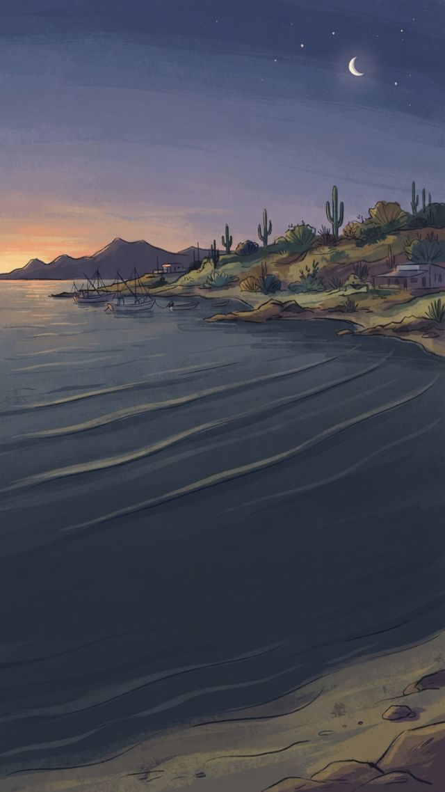 Weather - The Coromuel wind: Baja California's unique nocturnal airflow