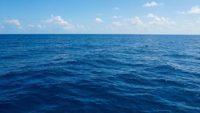 Science & Nature - Marine Conservation Areas Face Enforcement and Oversight Challenges