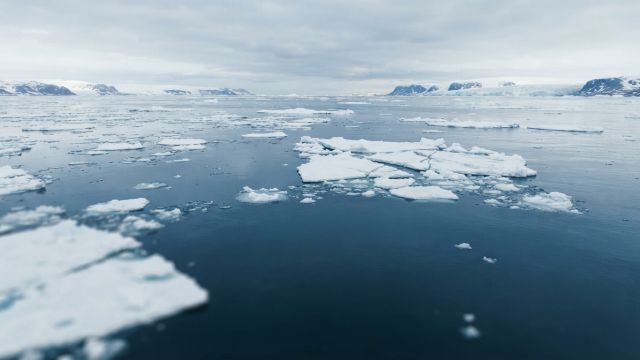 Science & Nature - Arctic Sea Ice Reaches Another Low Level in 2026