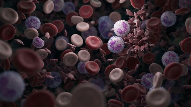 Health & Body - Serotonin: the neurotransmitter mainly produced in the gut
