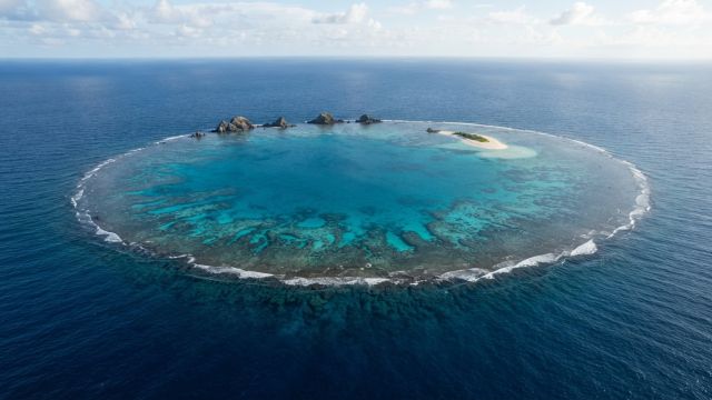 Ocean Life - Pocklington Reef: Papua New Guinea's remote submerged atoll