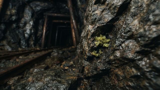 Science & Nature - Metarauchite: a rare mineral discovered in historic European mines