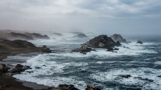 Ocean Life - The Penguin Islands: Namibia's scattered coastal wildlife havens