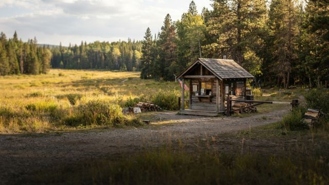 Wild Animals - Hunting permits: regulating game, conserving species, and preventing poaching