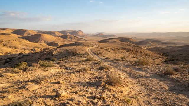 Egyptology - Theban Desert Road Survey: lost outposts of the Western Desert