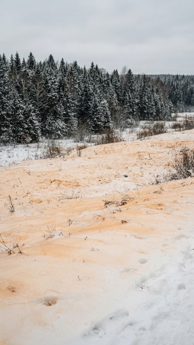 Weather - The Siberian orange snow: winter precipitation mystery