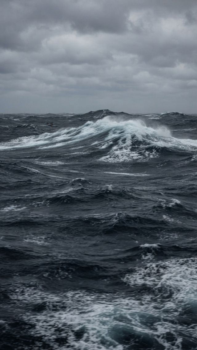 Weather - Roaring Forties: the Southern Hemisphere's relentless ocean westerlies