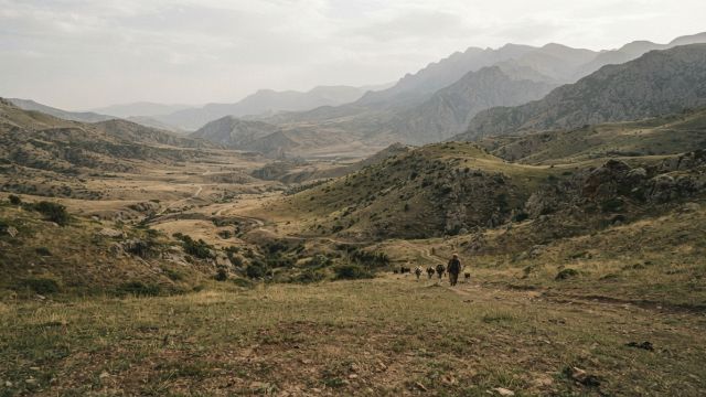 The Roman Empire - Battle of Rhandeia: Rome's humiliation under the yoke