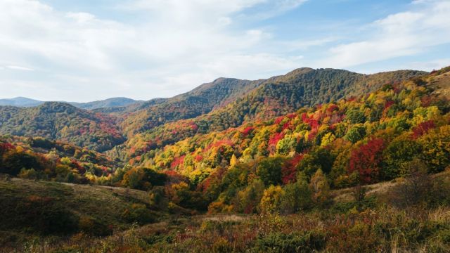World Wonders - Satellite Captures Autumn Colors in Poland's Bieszczady Mountains