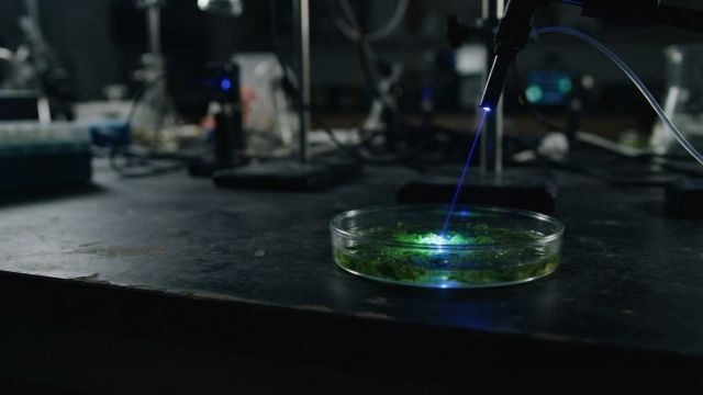 Health & Body - Nobel Prize Awarded for Light-Based Brain Control