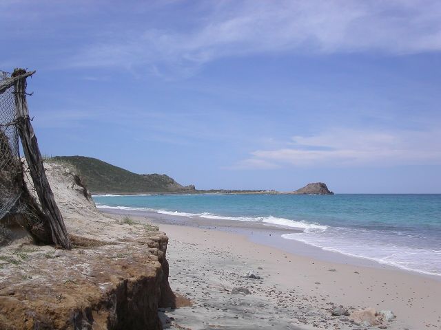 World Wonders - Cabo Pulmo: Baja California's ancient living reef