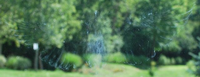 Great Structures - Bird-window collisions: Glass architecture poses a growing ecological danger