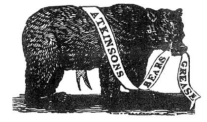 Wild Animals - Bear's grease: the historic remedy for baldness