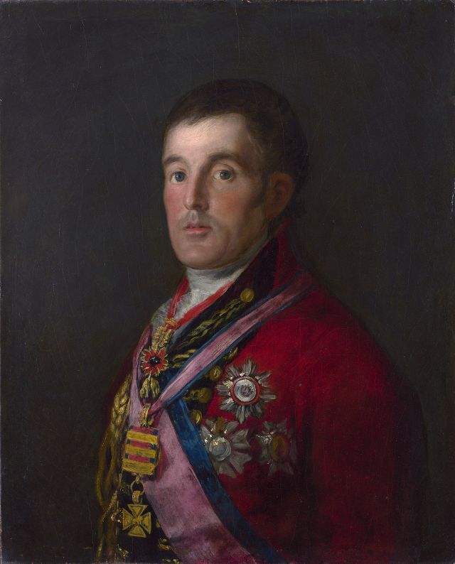 Crime Stories - Goya's Wellington: a wartime portrait transformed by victory