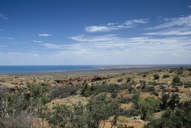Ocean Life - Ningaloo Reef: Australia's massive shoreline coral barrier