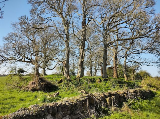 Myths & Legends - Fairy forts: the ancient ruins guarded by Irish folklore