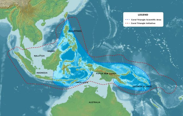 Ocean Life - The Coral Triangle: Earth's marine biodiversity epicenter