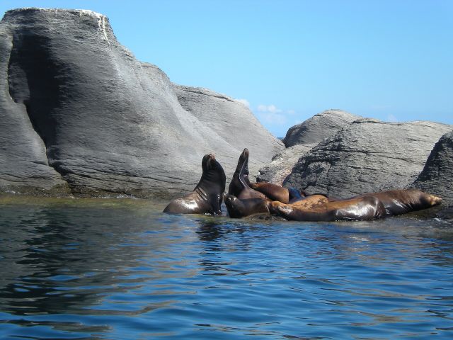 World Wonders - Bahía de Loreto: Mexico's pristine marine sanctuary