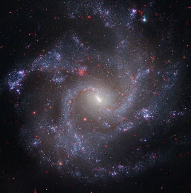 Space - NGC 5468: cosmic yardsticks in a distant spiral galaxy