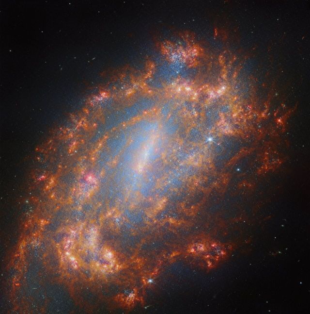 Space - NGC 1559: an isolated barred spiral galaxy adrift