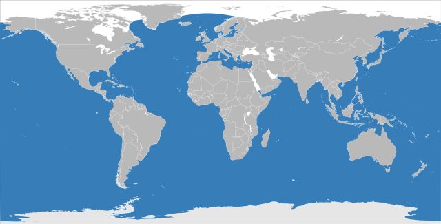 Ocean Life - Beaked whales: the deep sea's most mysterious mammals