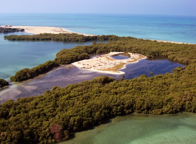 Ocean Life - Bu Tinah: Abu Dhabi's secluded marine biosphere reserve