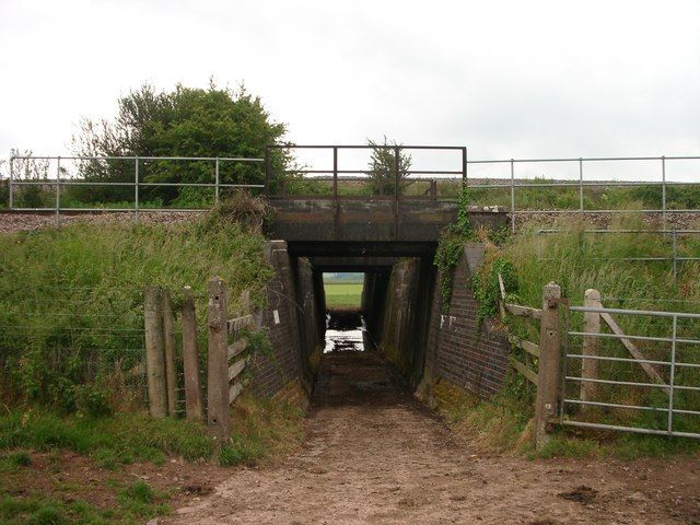 Great Structures - Cattle creeps: Low-clearance tunnels for rural livestock