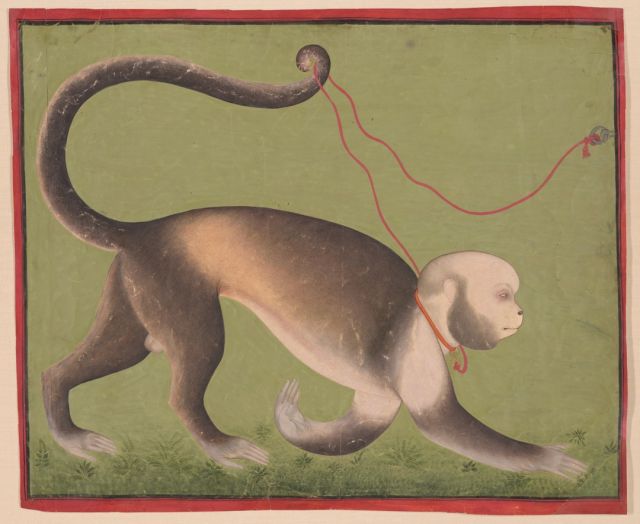 Art Minute - A Monumental Portrait of a Monkey by Stipple Master