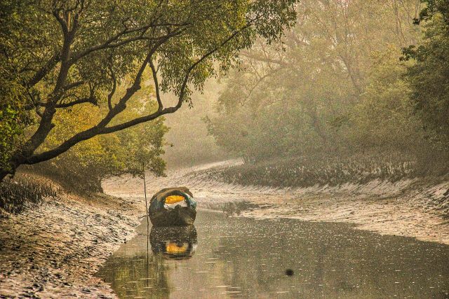 World Wonders - Sundarbans: The world's largest coastal mangrove forest
