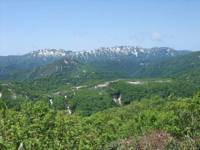 World Wonders - Shirakami-Sanchi: Northern Japan's primeval virgin beech wilderness