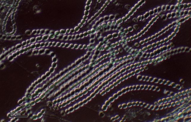 Science & Nature - Mineral evolution: how planetary environments create new minerals