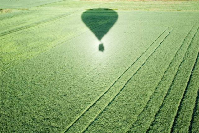 Science & Nature - Heiligenschein: the glowing halo cast across dewy fields