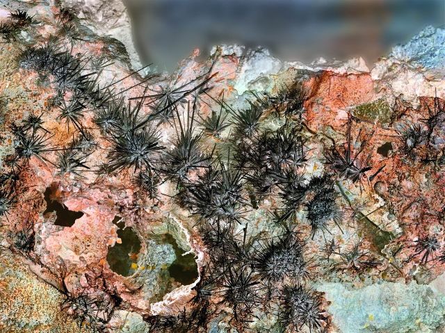 Planet Earth - Fumarole minerals: Rare crystals born from volcanic gases