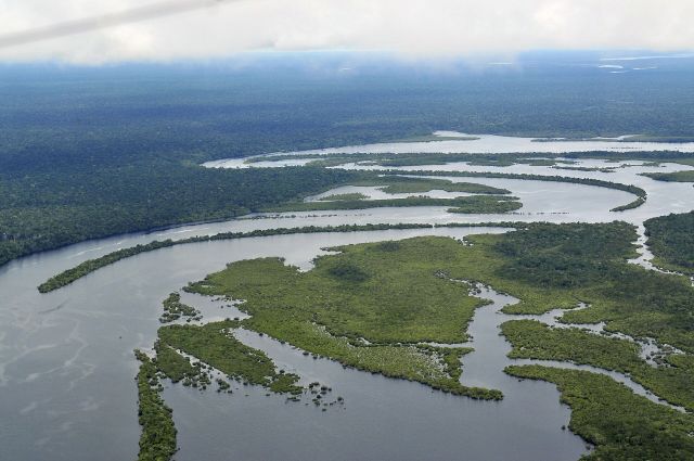 Planet Earth - The Amazon rainforest: Earth's largest tropical river basin