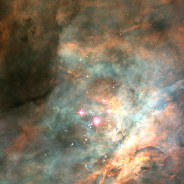 Space - Trapezium Cluster: unveiling infant brown dwarfs in Orion